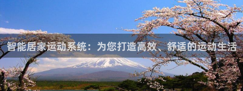 意昂4娱乐网站:智能居家运动系统:为您打造高效、舒适的运动生