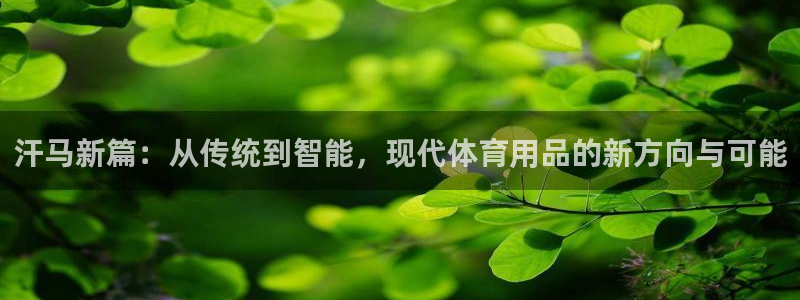 意昂4集团logo:汗马新篇:从传统到智能,现代体育用品的新
