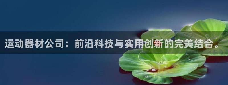 注册意昂4:运动器材公司:前沿科技与实用创新的完美结合。