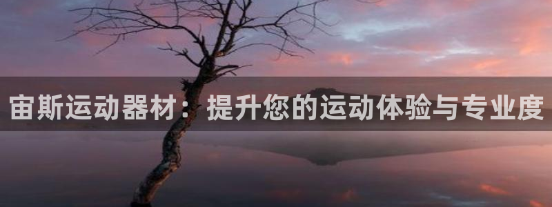 意昂4娱乐平台:宙斯运动器材:提升您的运动体验与专业度