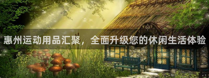 意昂4科技:惠州运动用品汇聚,全面升级您的休闲生活体验