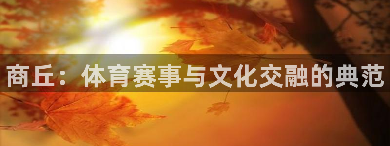 意昂体育4招商电话是多少啊:商丘:体育赛事与文化交融的典范